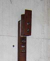 Tillering